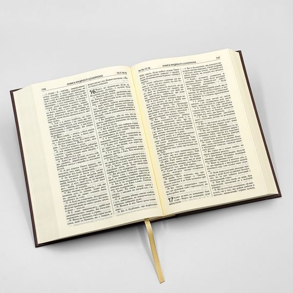 Библия в современном переводе с неканоническими книгами &mdash; Вишневая 10731-2 фото