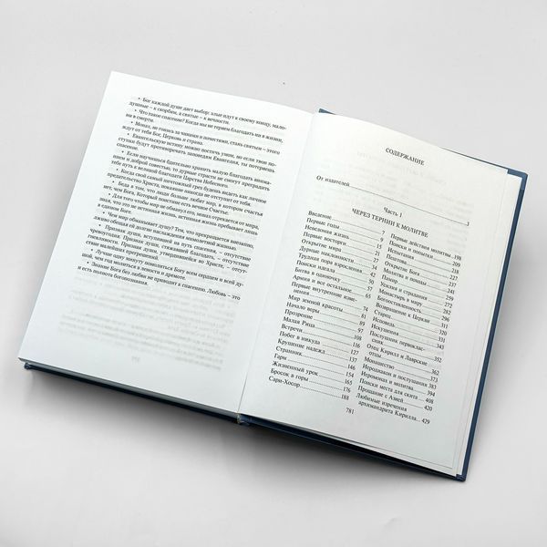Птицы небесные | Монах Симеон Афонский 2971 фото