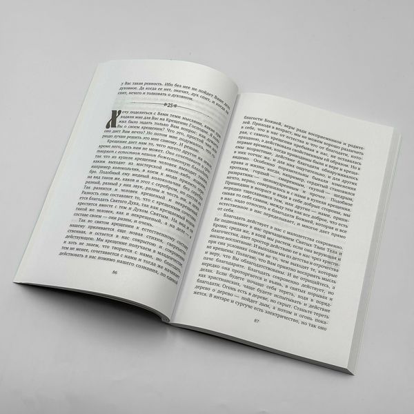 Що таке духовне життя і як на нього налаштуватися. Святитель Феофан Затворник 2974 фото