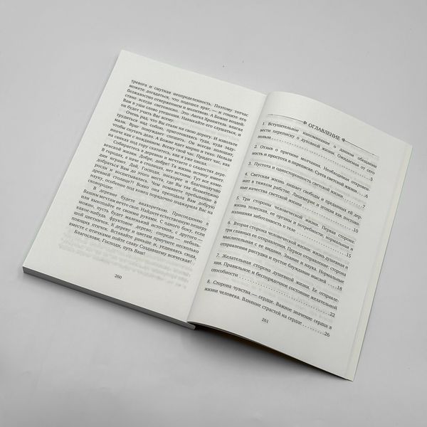 Що таке духовне життя і як на нього налаштуватися. Святитель Феофан Затворник 2974 фото
